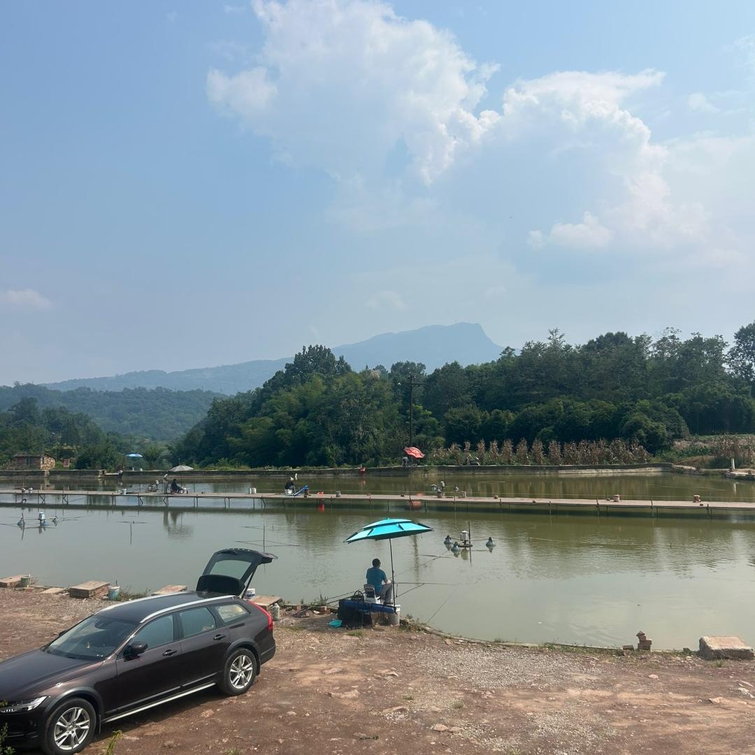 雅安市老城区狗脚湾鱼塘，毛歌