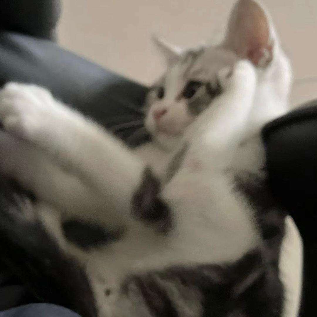 doro