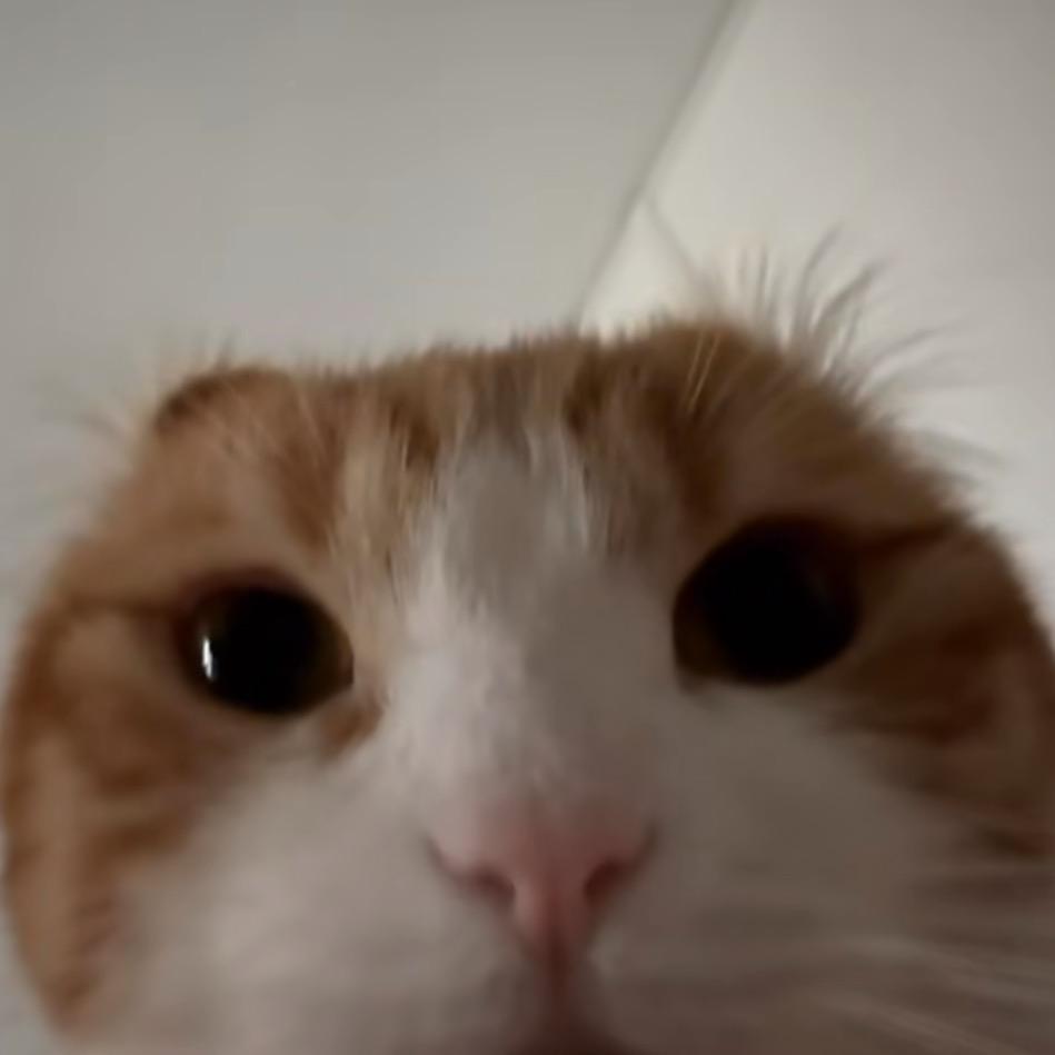 狂炫酷帅吊炸天白少