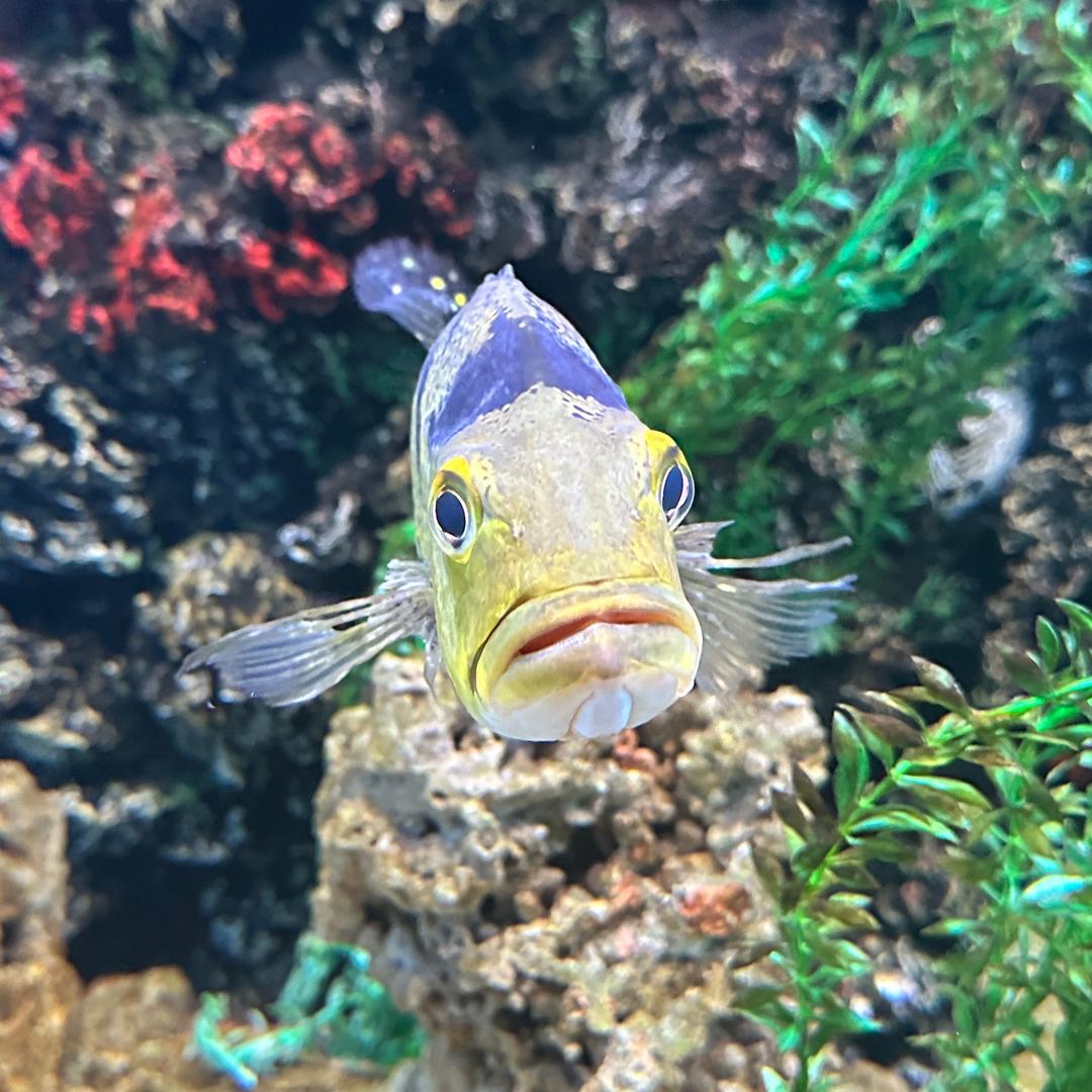 最美的不是下雨天