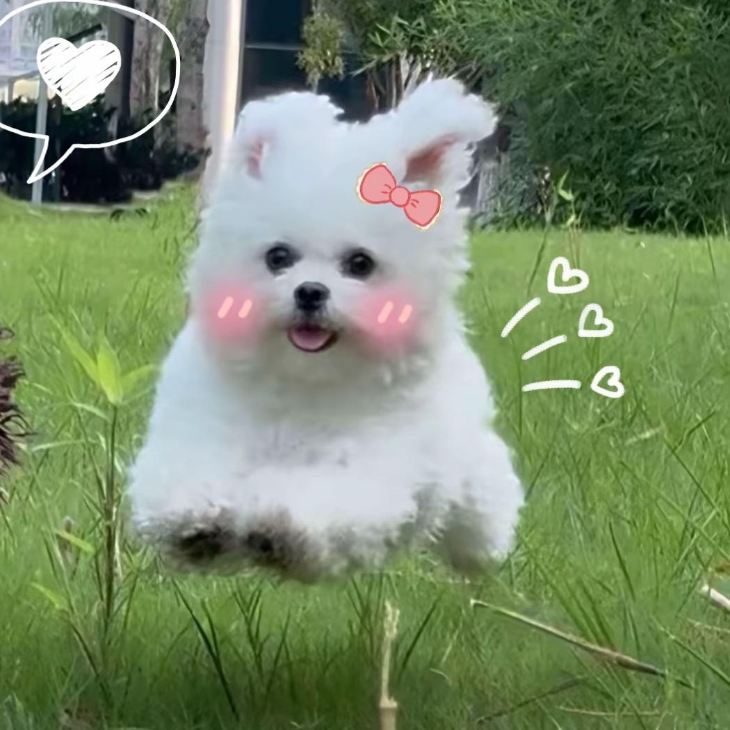 QVQ