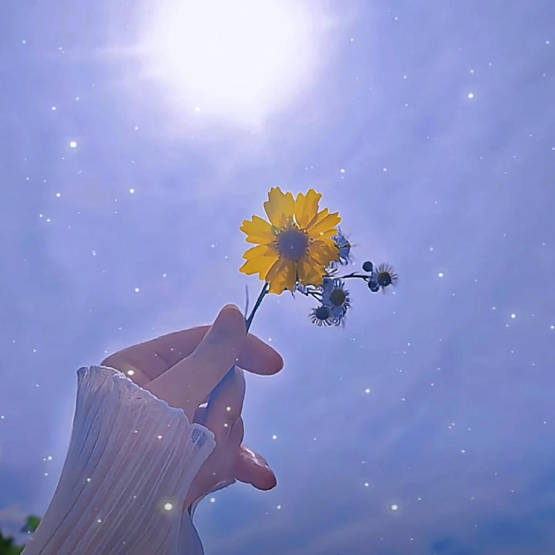 Dear