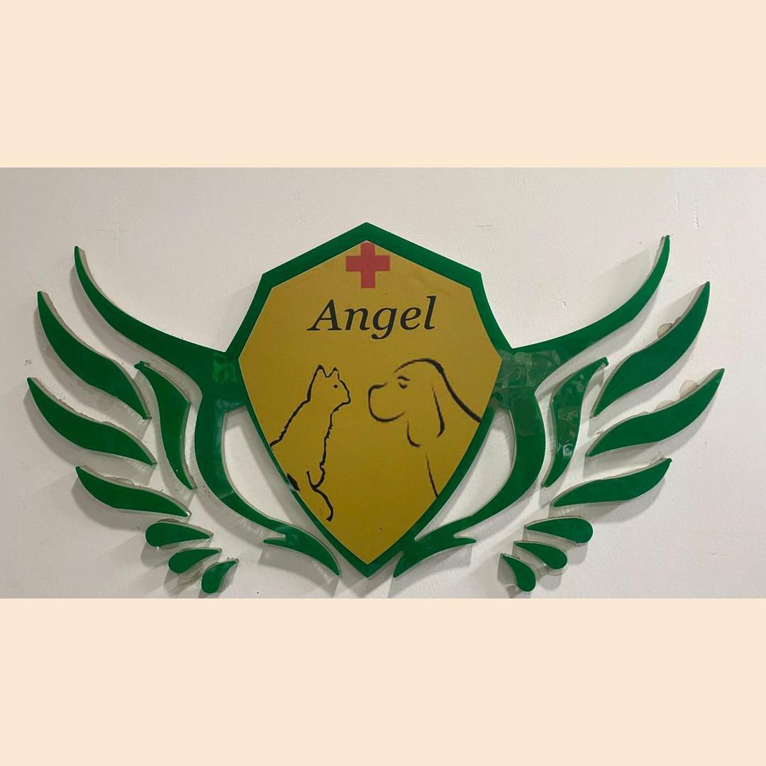 咸阳天使宠物医院（咸阳总院）