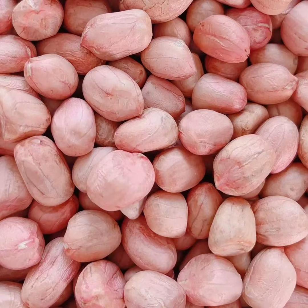 花生大姐🥜（产地直发）