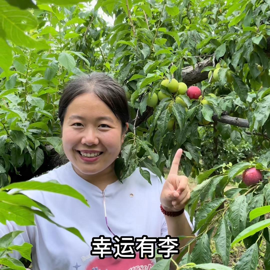 盖州全鑫水果