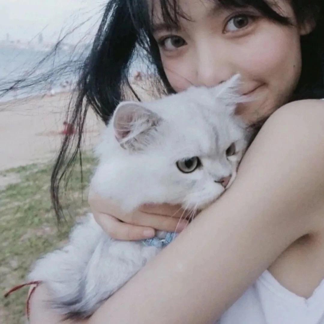 小y
