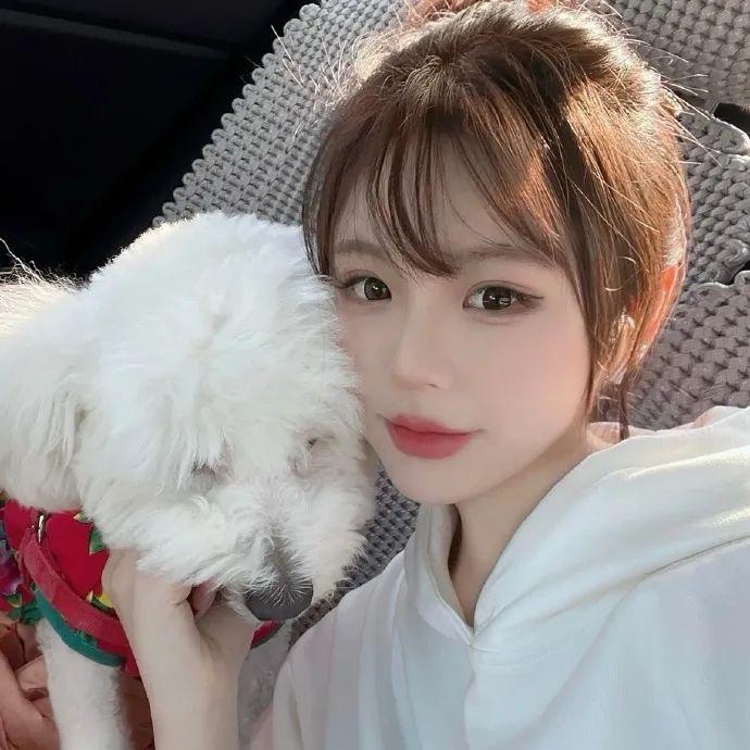 开思域的小女孩