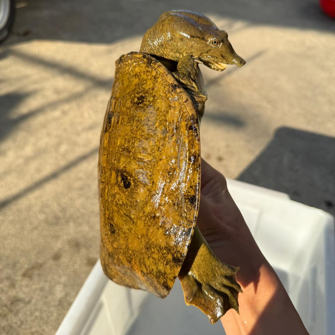 鱼乡有粮