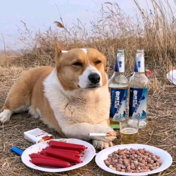 我想住在天空
