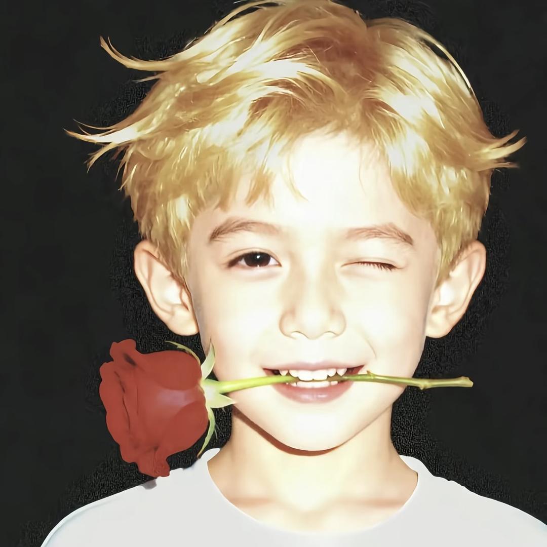 运气爆棚的土豆🫡