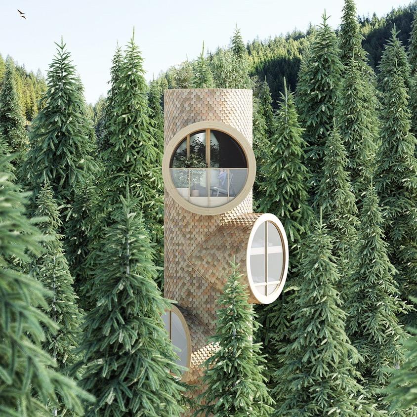大蛇意匠建筑科技