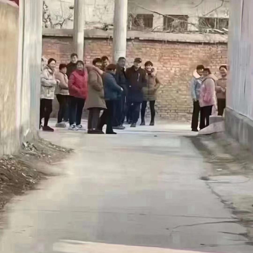 一只静儿哥