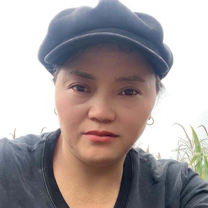 陈凤
