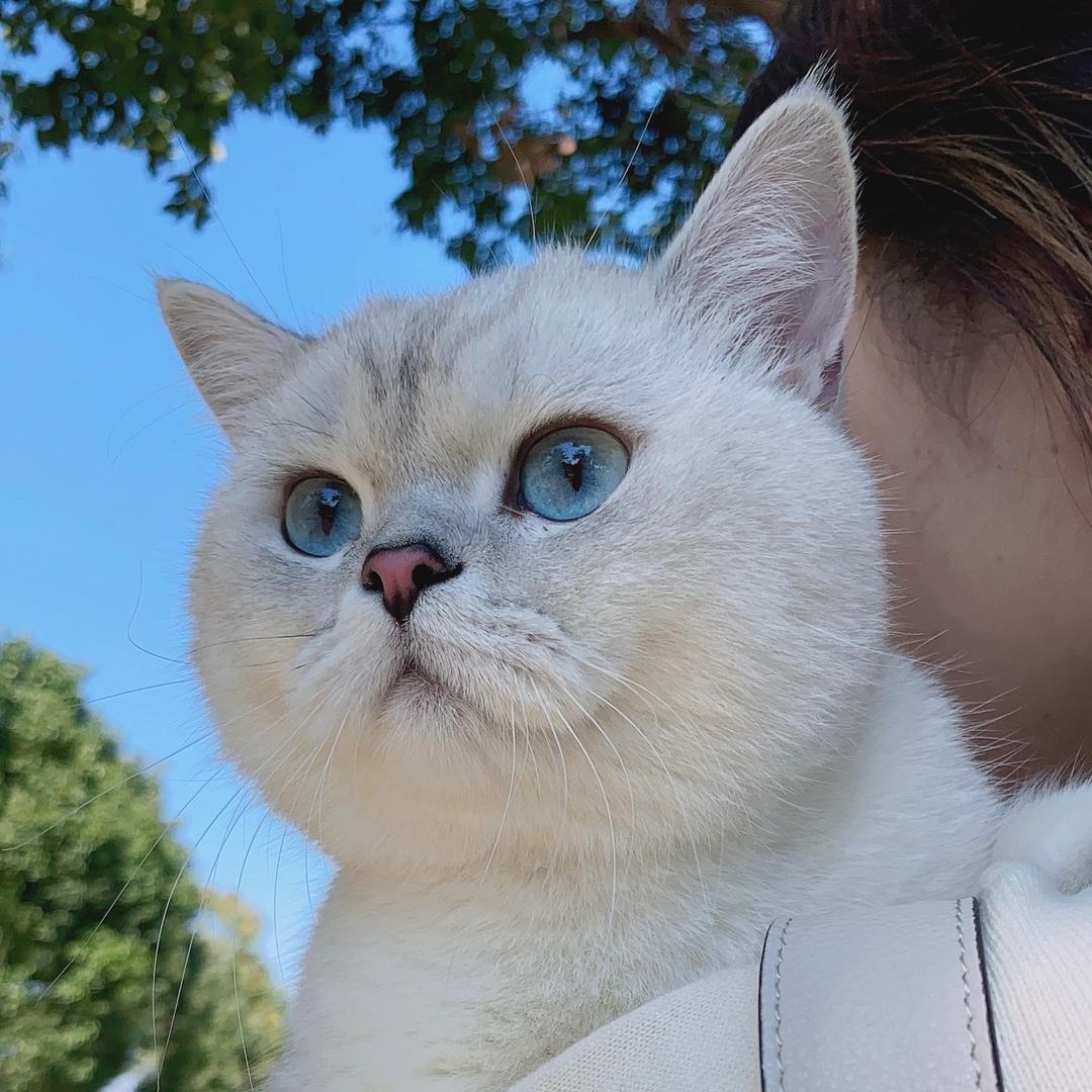 小眼睛👀