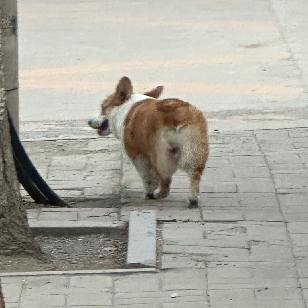 刘💦冷秋