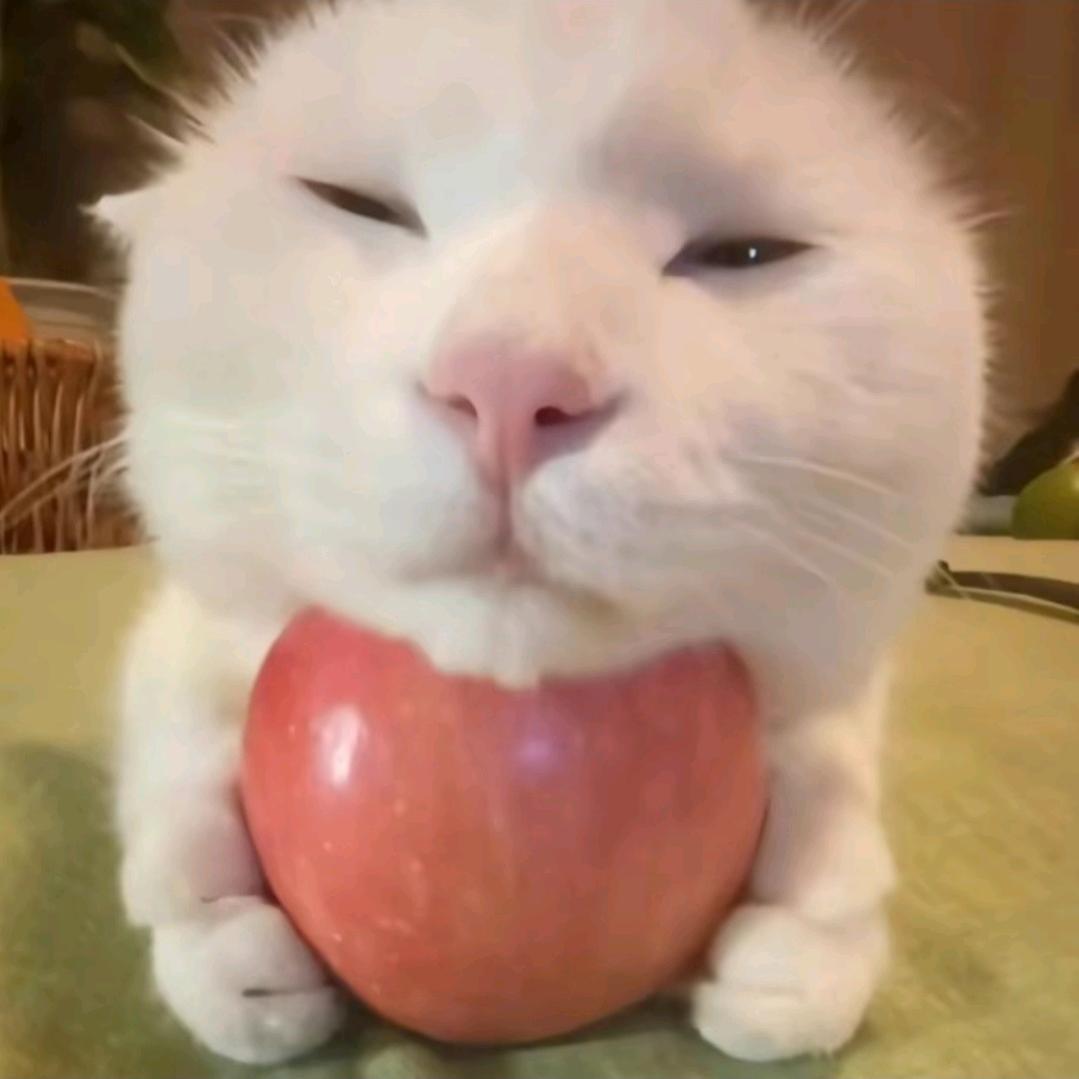 知恩   