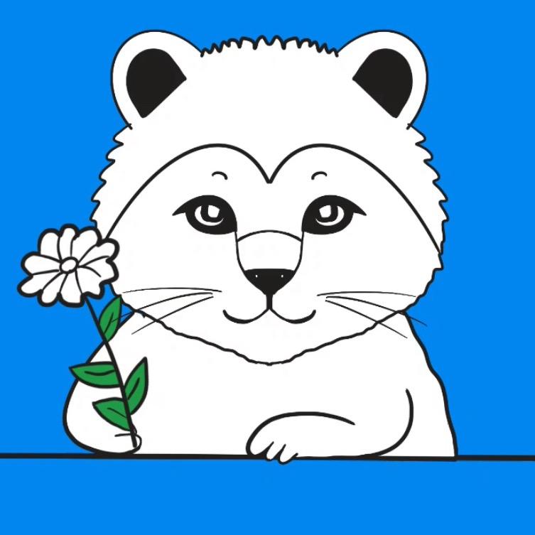 懒猫科普
