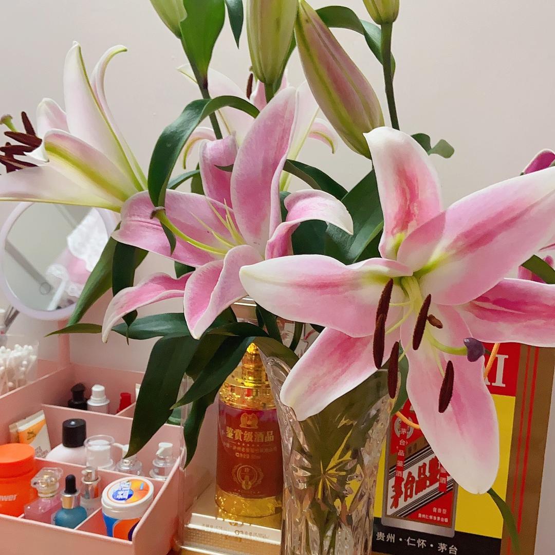 封心🌹锁爱