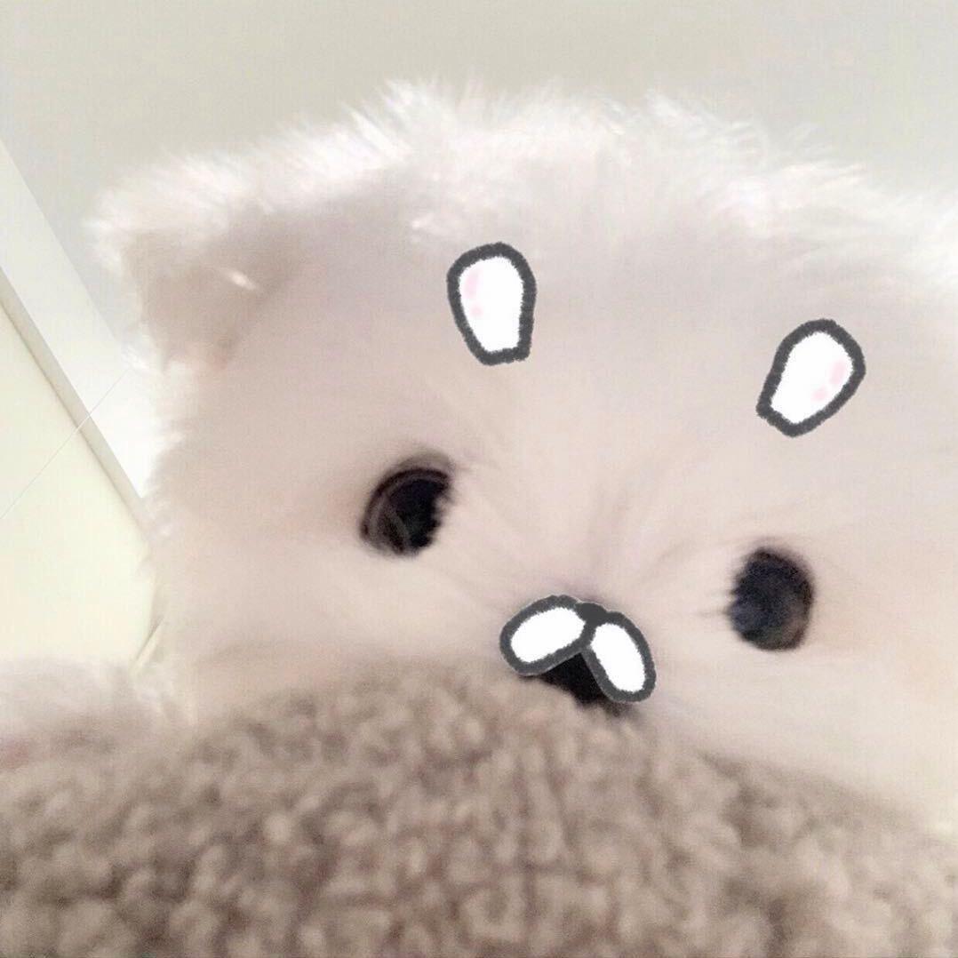 嘿嘿