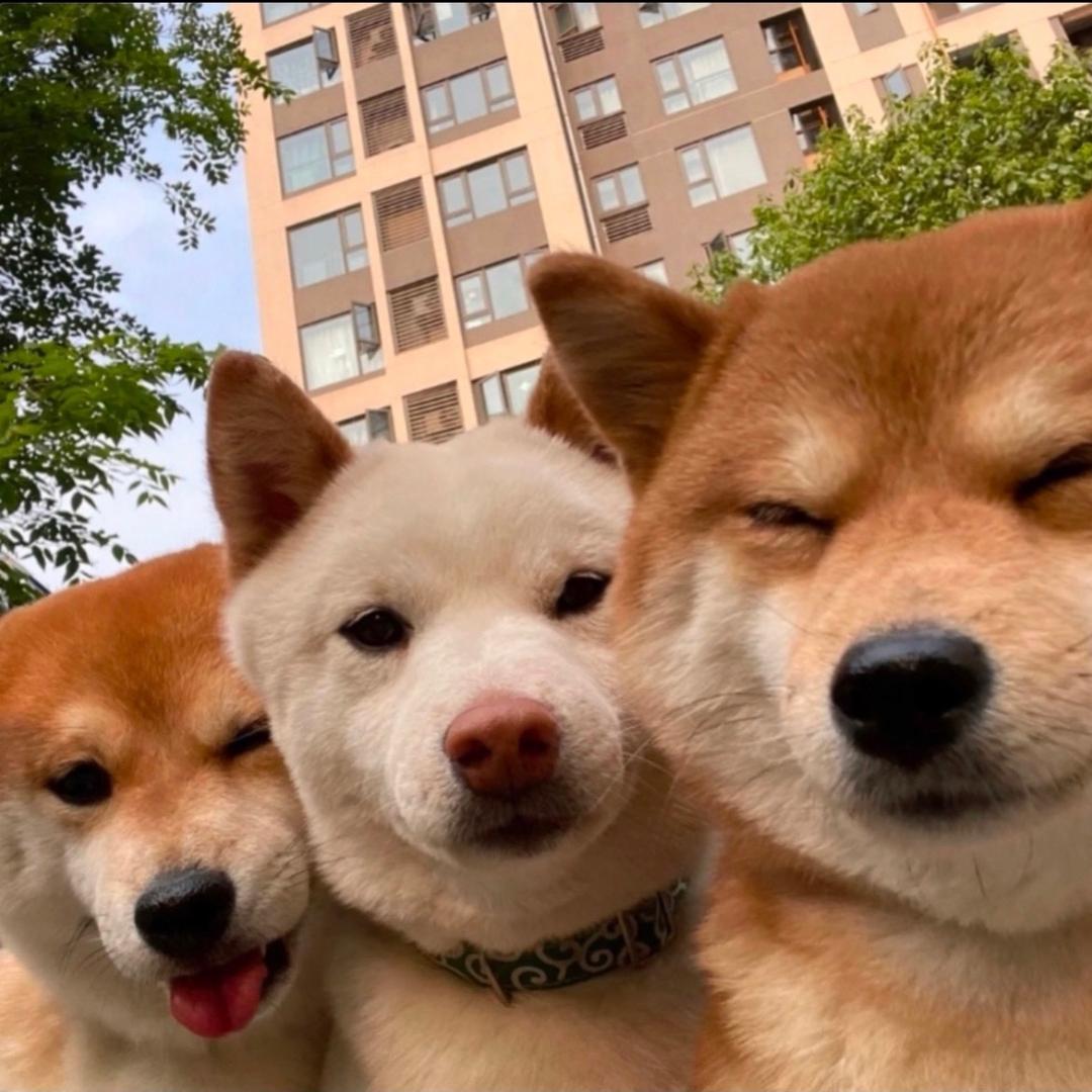 🕶️小助理