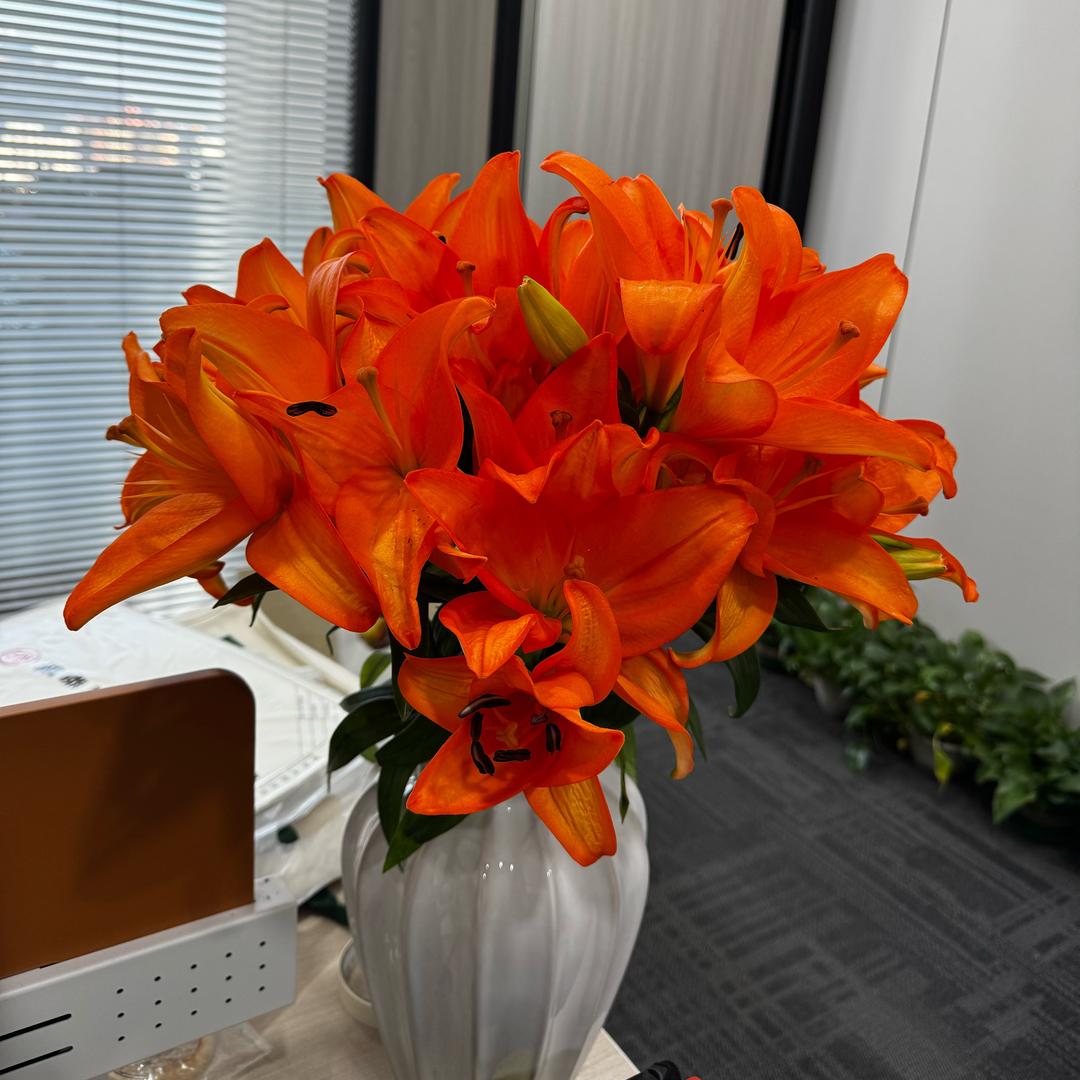 我想静静