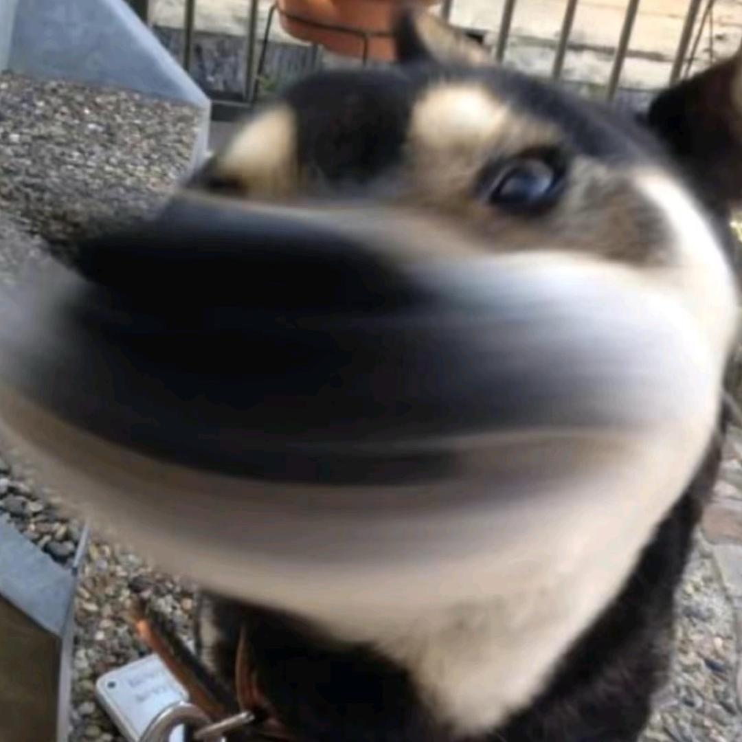 z宁