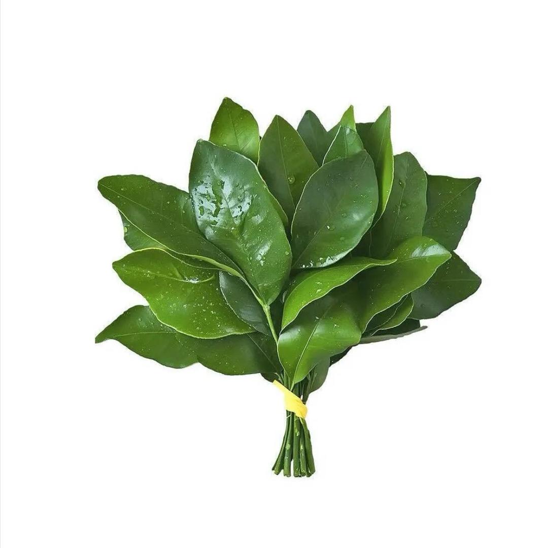 我姓钱但没钱