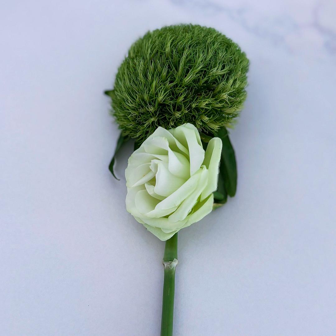 🥂 平静的世界