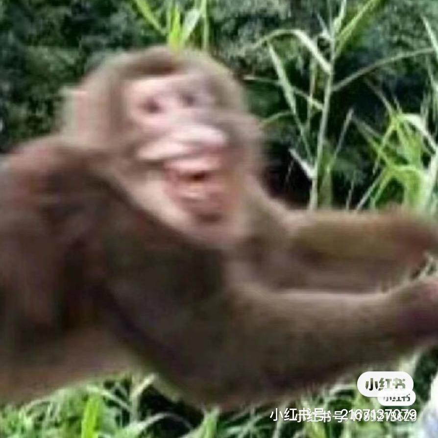 筱蕊
