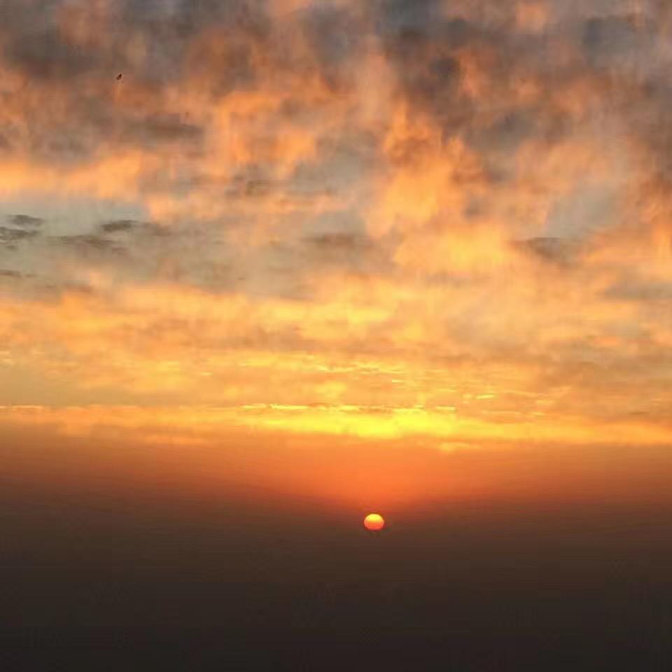 小jo象