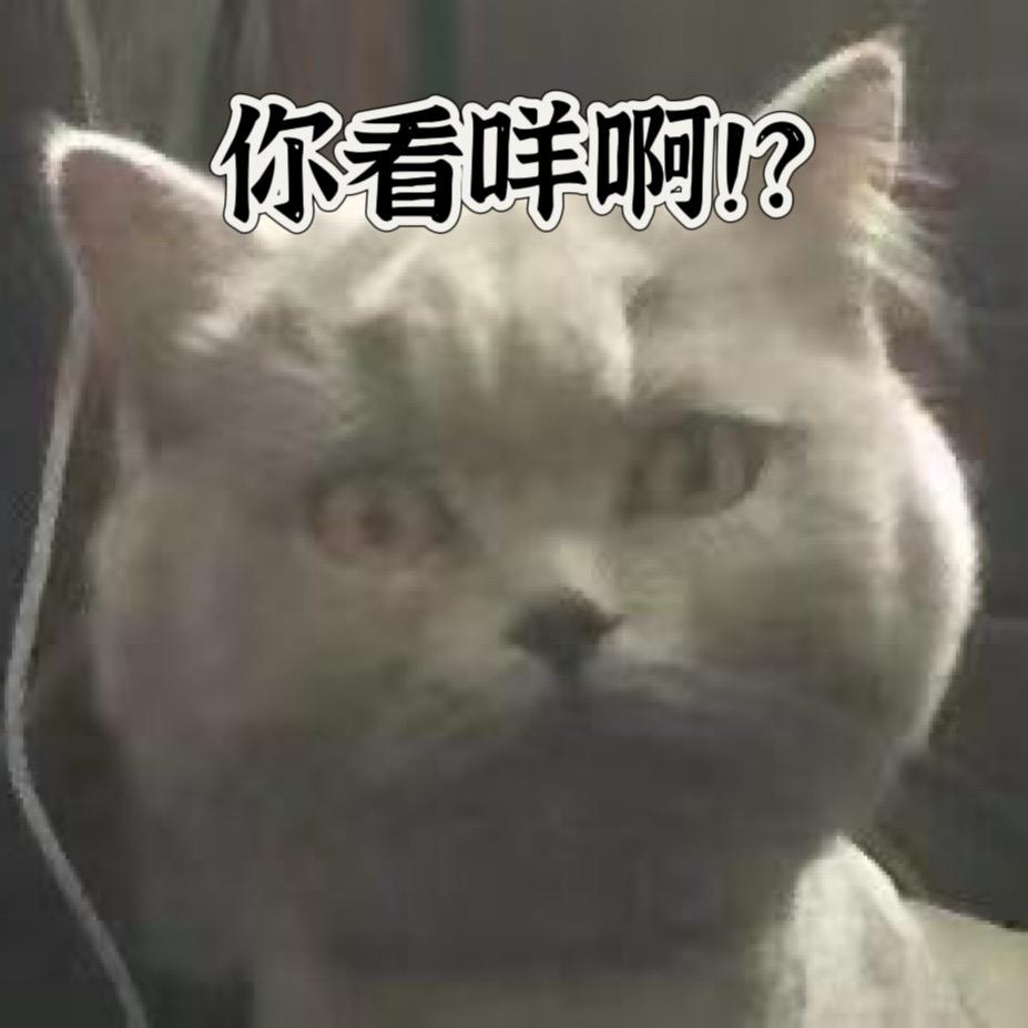 呆呆呆呆呆