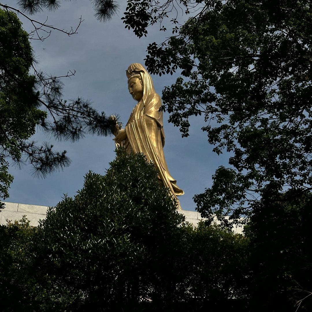 她和朋友去吃饭啦没去吃饭