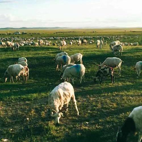 此号己停，谢谢各位粉丝们的关照