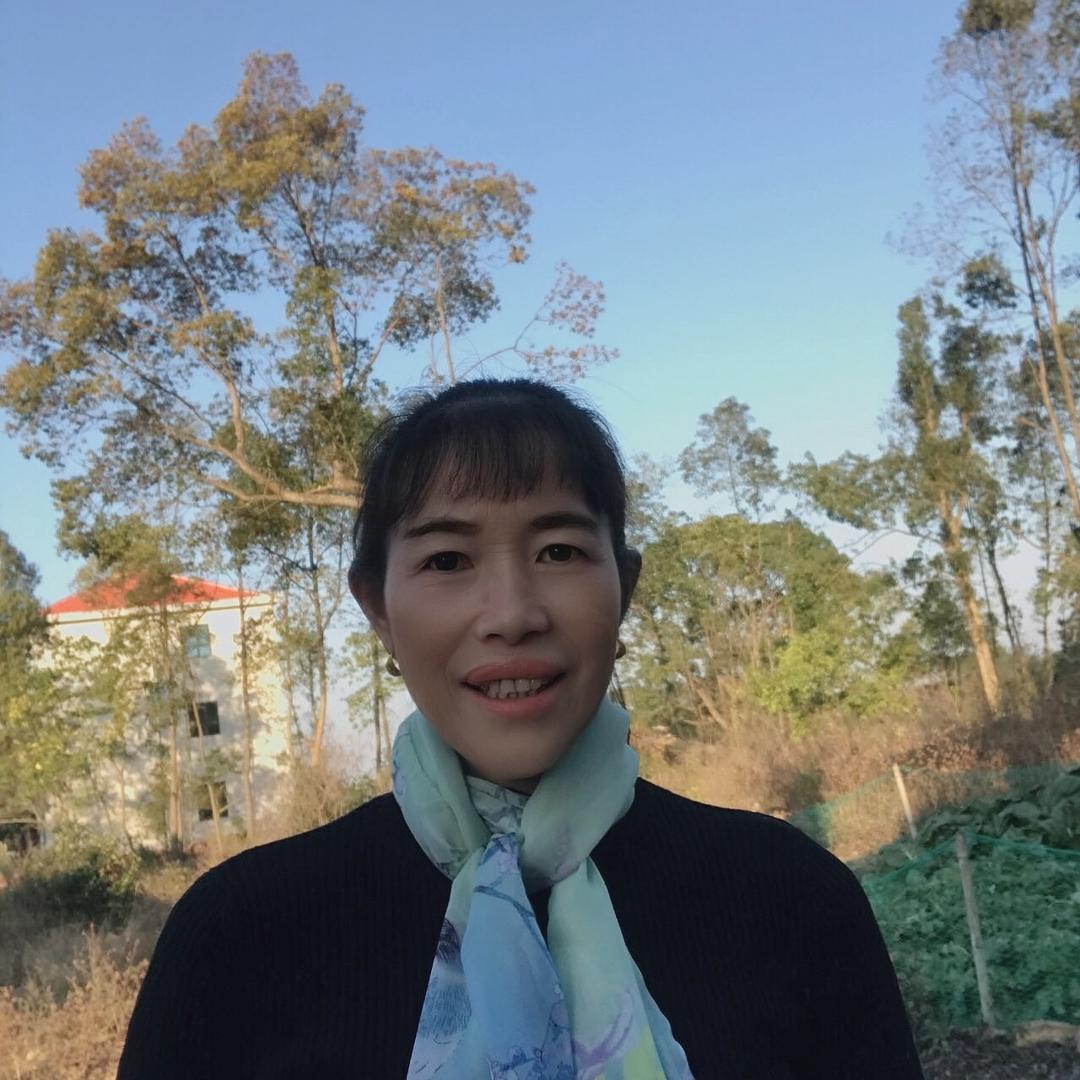 刘秋英 《请勿连赞》