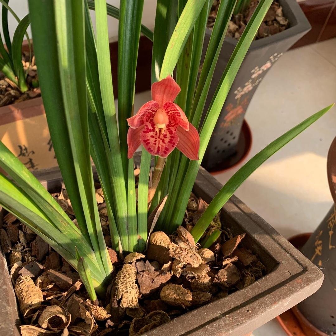 怎么舒服怎么来