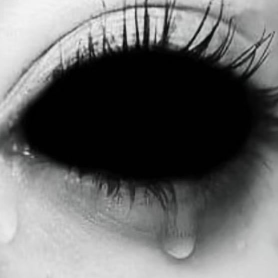 风                 🪳