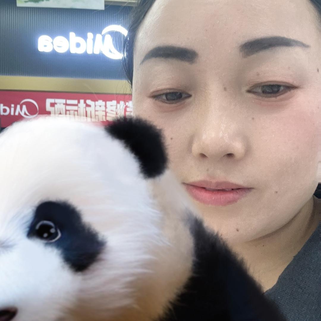 自由蝴蝶飞