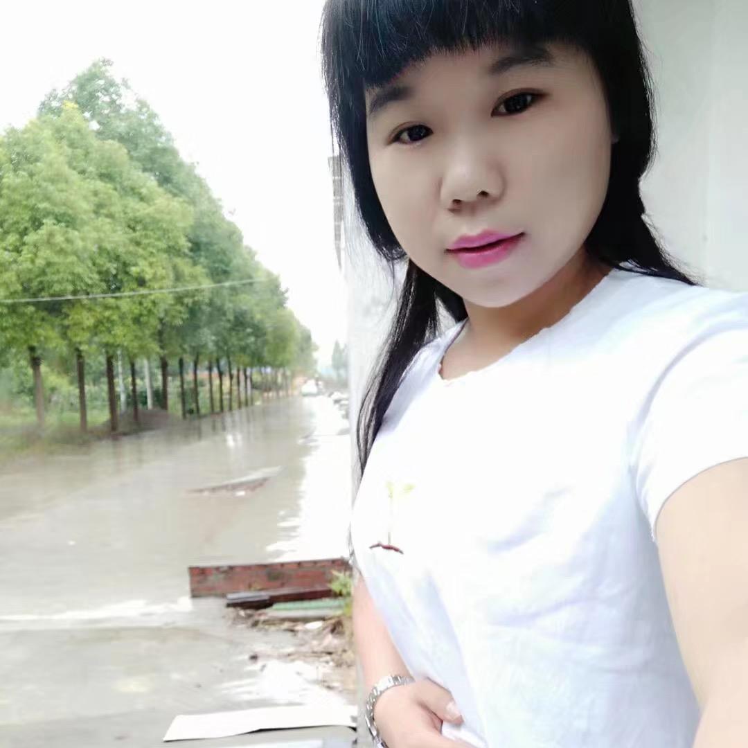 潜江帘到家窗帘墙布～燕子