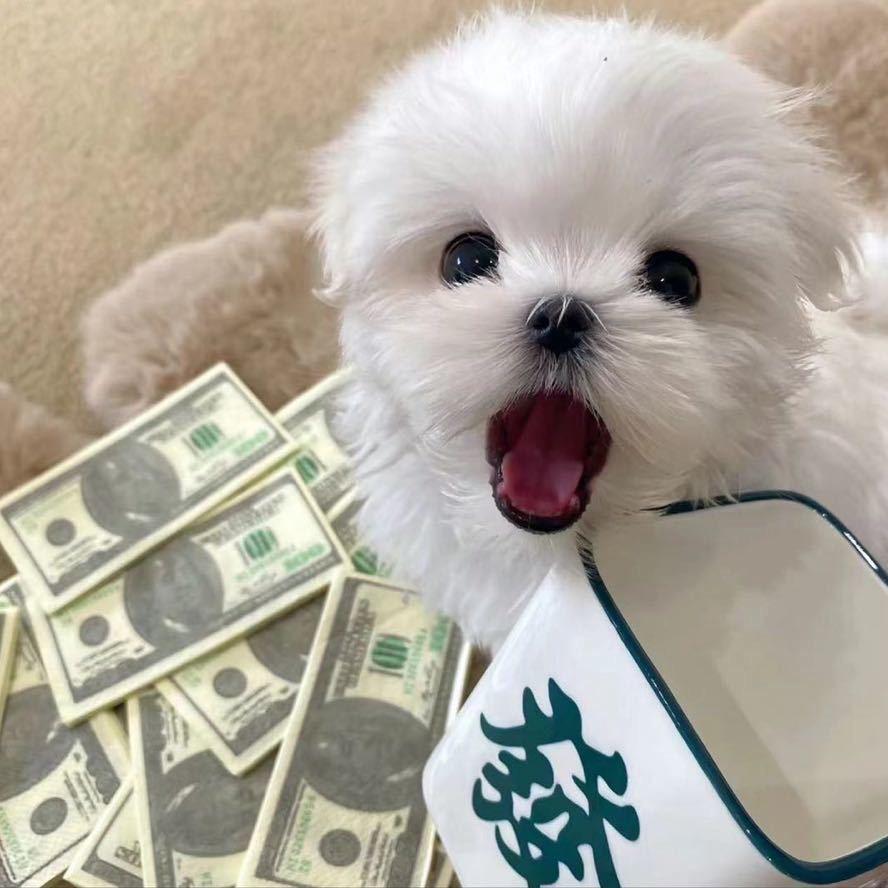 ᯅ 对方忙线中