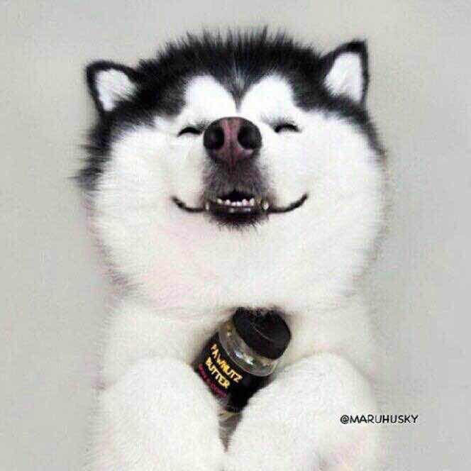 月入一块五🌝🌝