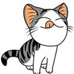 小馋猫🐹