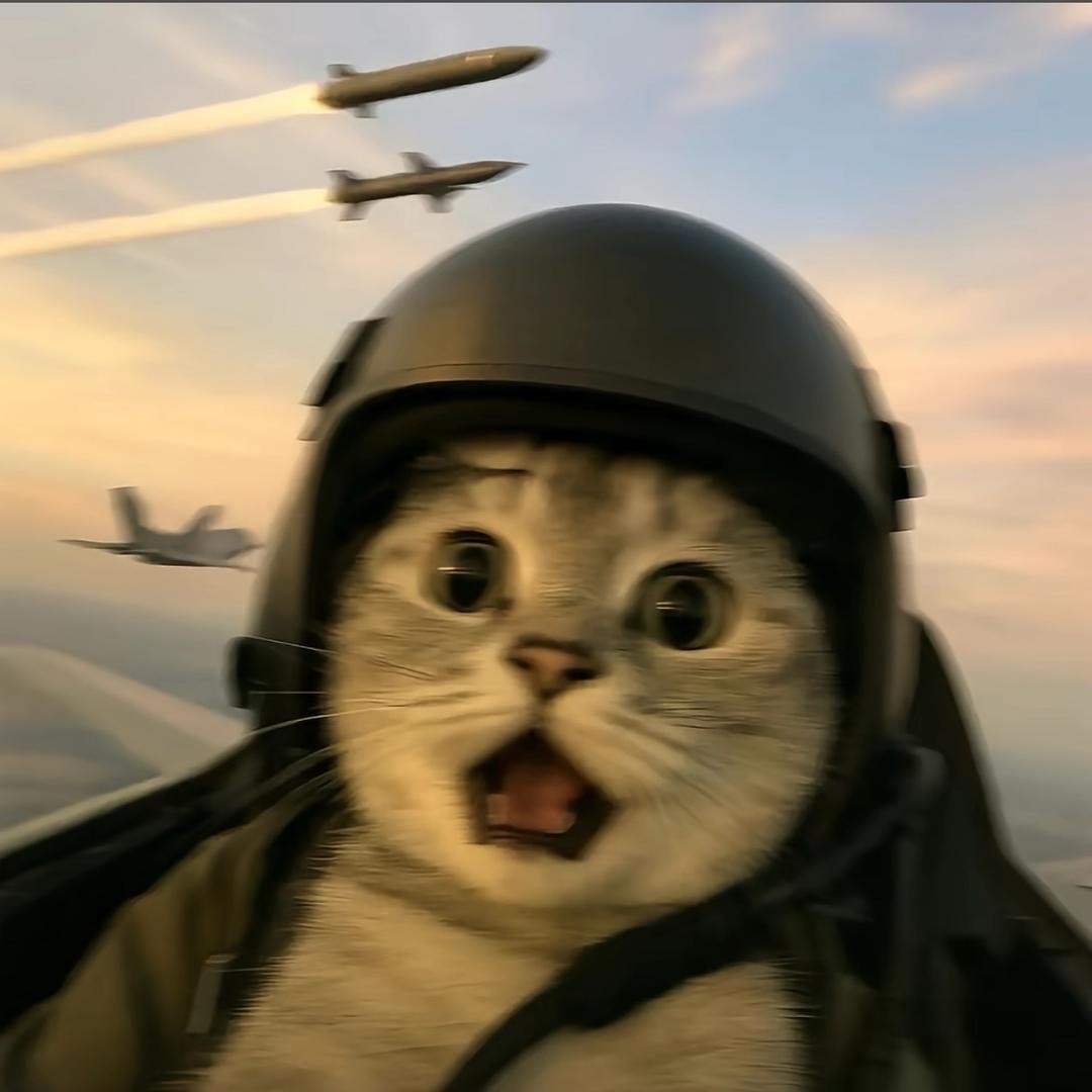 小虎狸🐯
