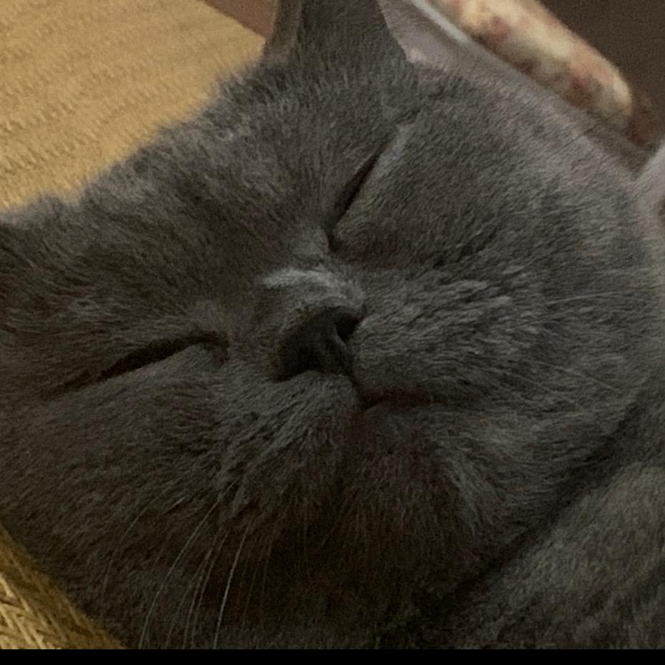 别说话，吻我。