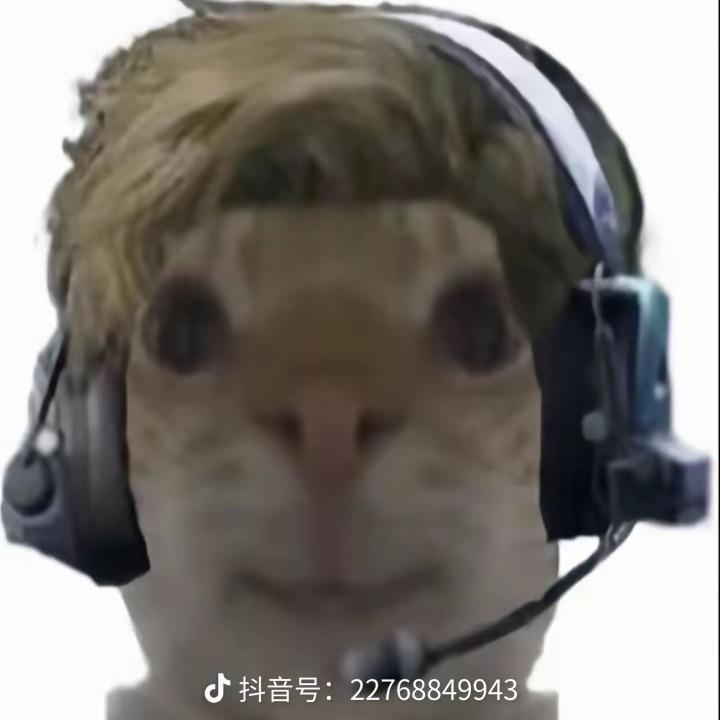 极光儿