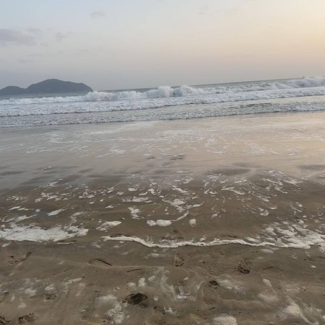 🌸 🐮🐮 跑得快