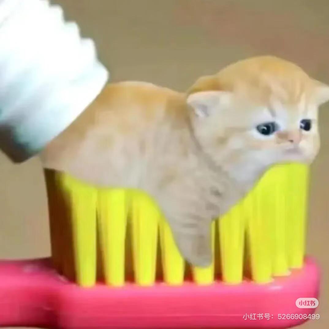 管住嘴迈开腿