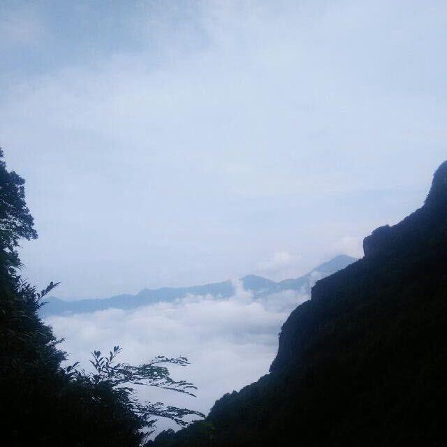 晨晨