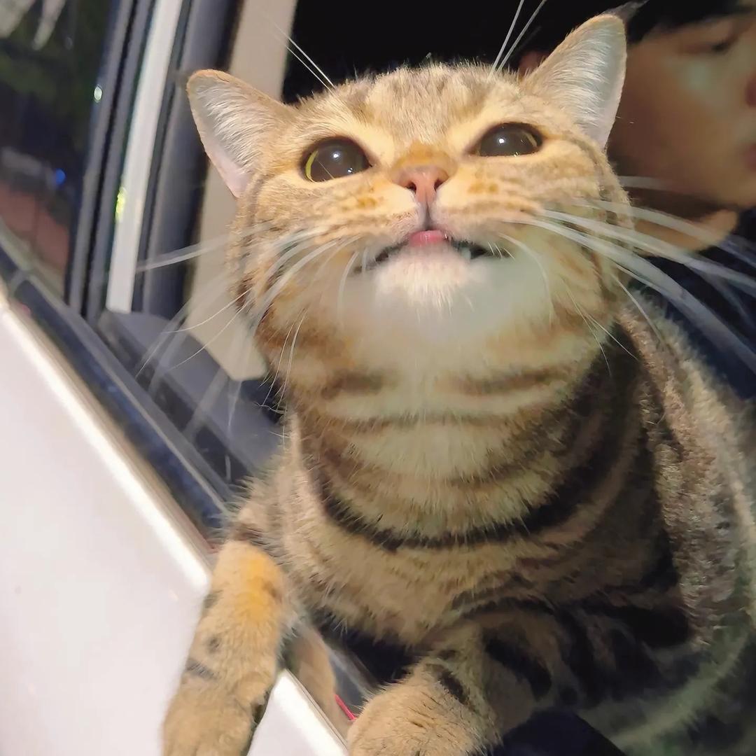 隐德来希