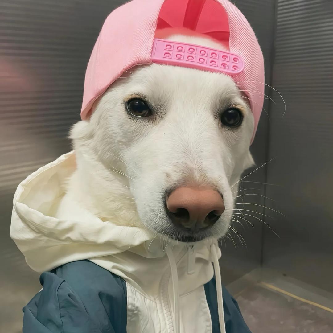 霸道女总裁爱上当保安的我👮🏻‍♀️