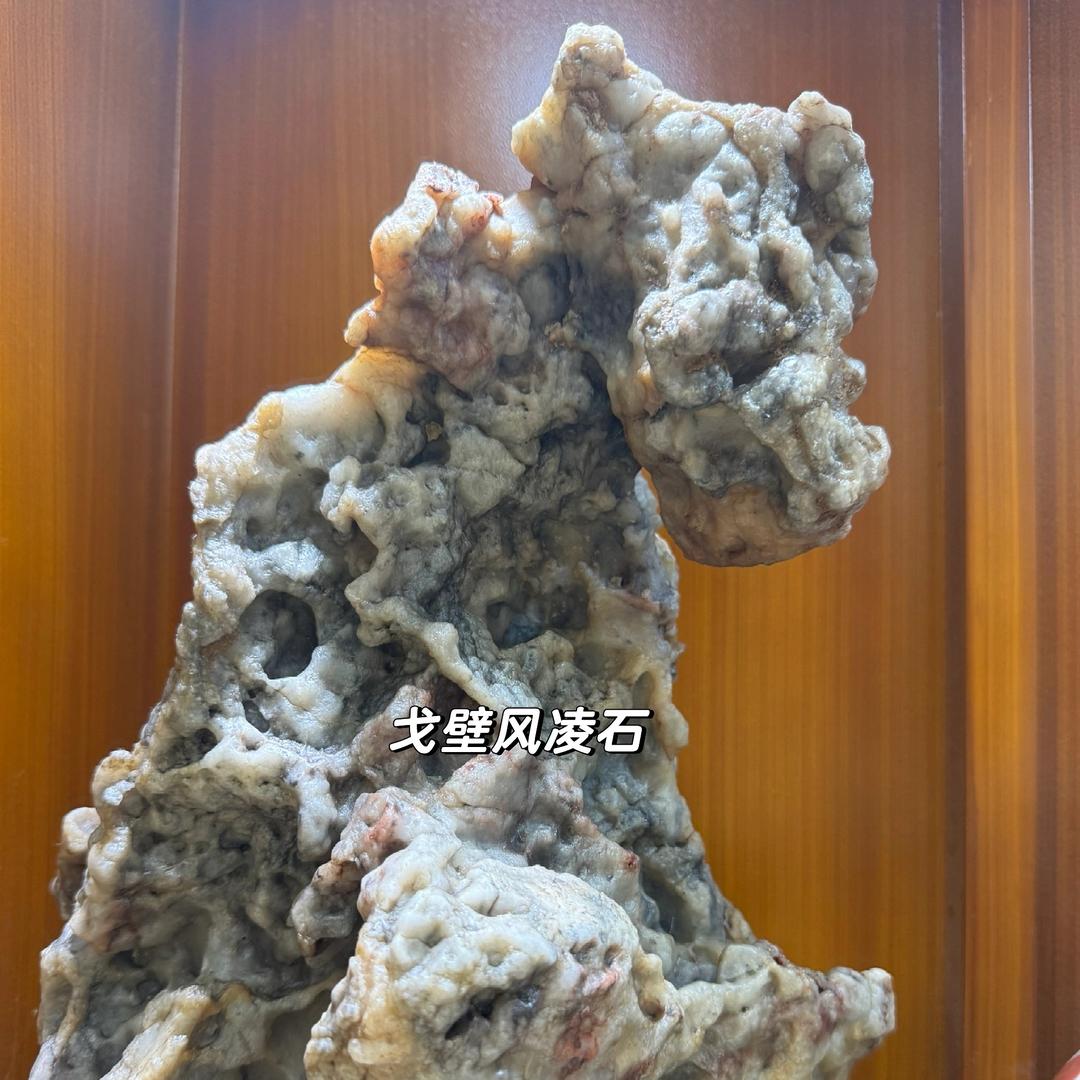 米豆豆睡懒觉